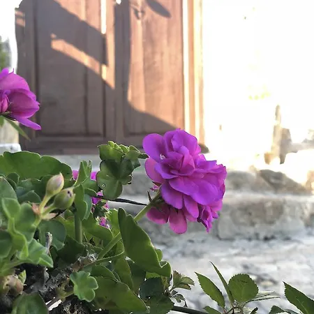 別荘 Casa Rural Macrina アデヘ